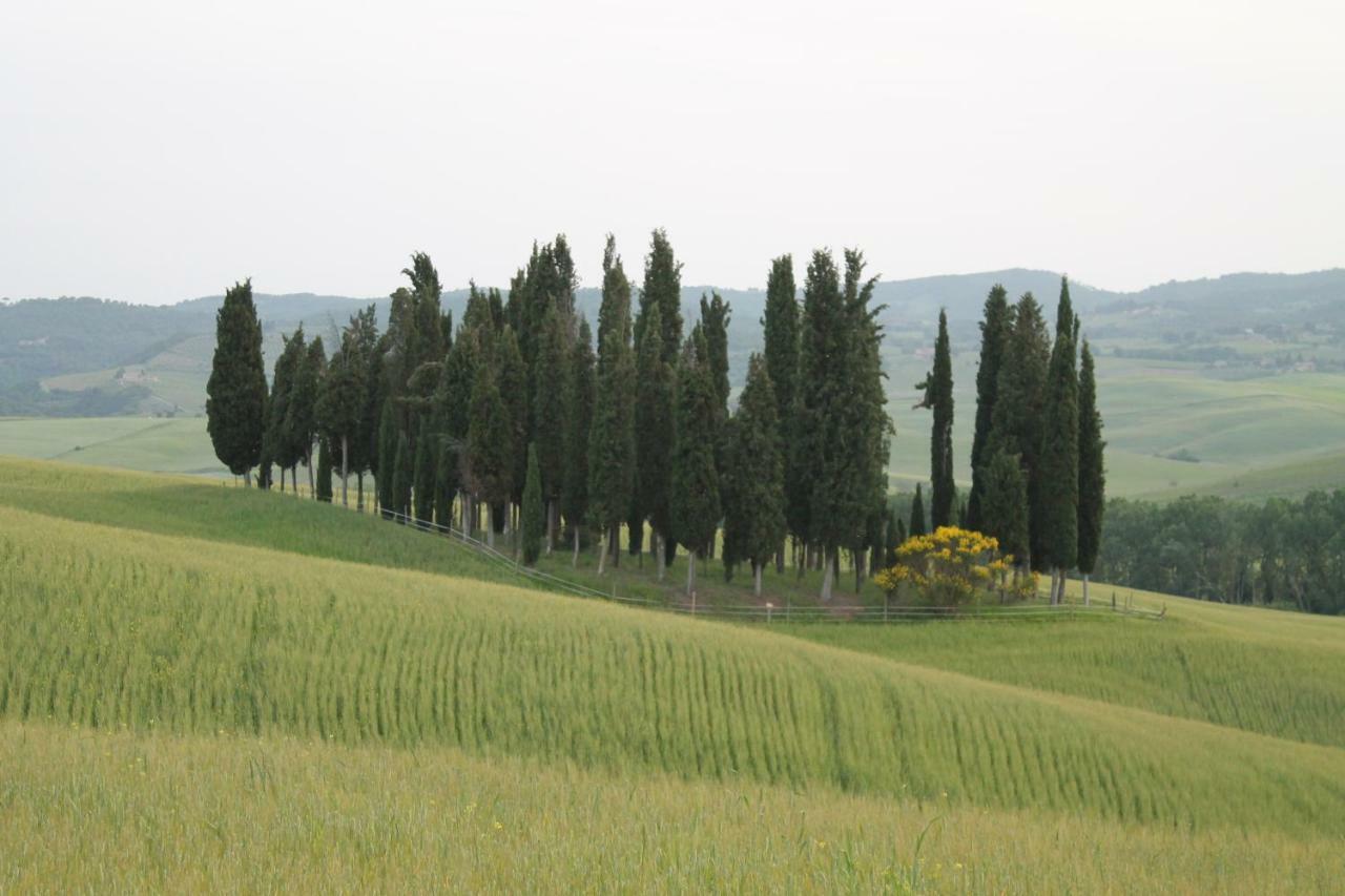 Agriturismo Cantagalli サン・クイーリコ・ドルチャ エクステリア 写真