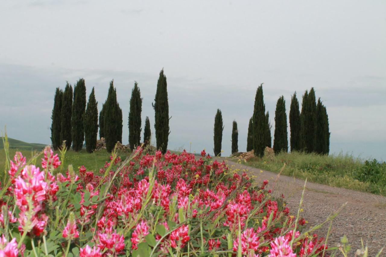Agriturismo Cantagalli サン・クイーリコ・ドルチャ エクステリア 写真