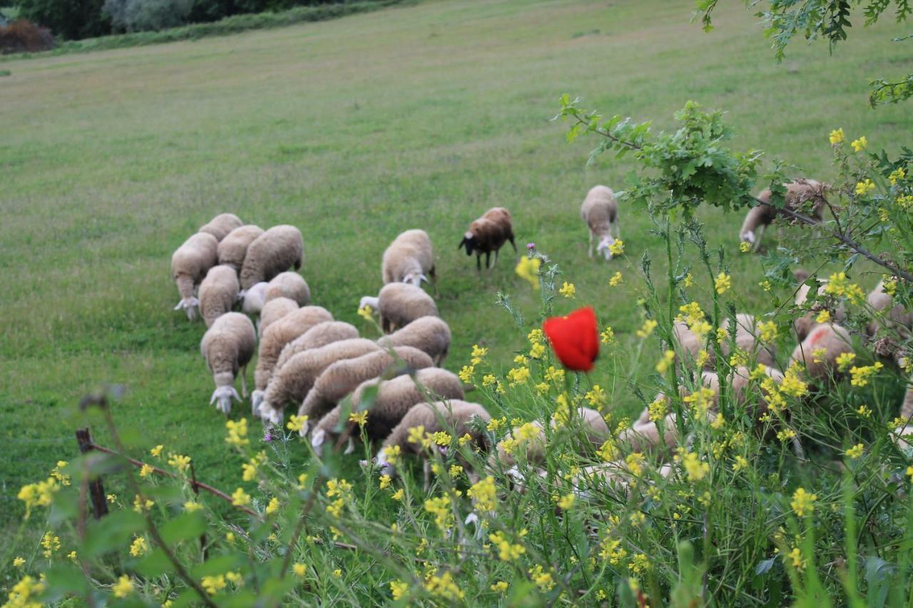 Agriturismo Cantagalli サン・クイーリコ・ドルチャ エクステリア 写真